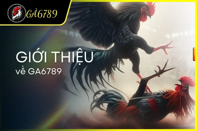 Tổng quan về hệ thống nhà cái hiện đại GA6789