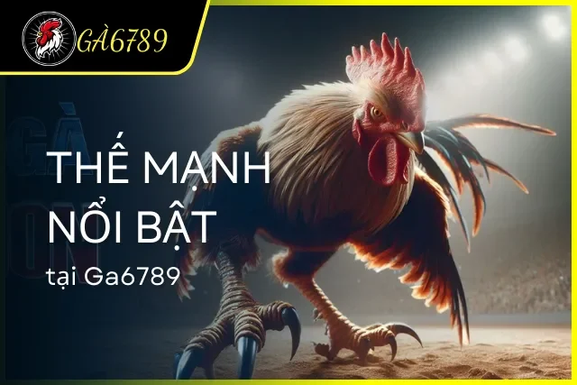 Điểm mạnh giúp GA6789 thu hút đông người chơi